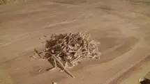 copeaux machine